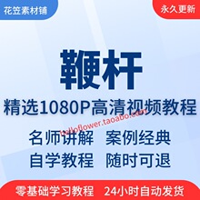 课程在线全套学习入门鞭杆技巧培训精通从视频教程到