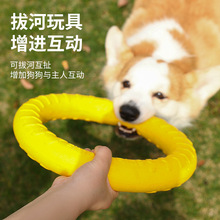 狗狗玩具训犬工具互动EVA浮水带绳球耐咬磨牙拉环宠物狗玩具批发