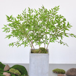 南天竹仿真绿植高级感客厅家居装饰假绿植仿真单支南天竹仿生绿植