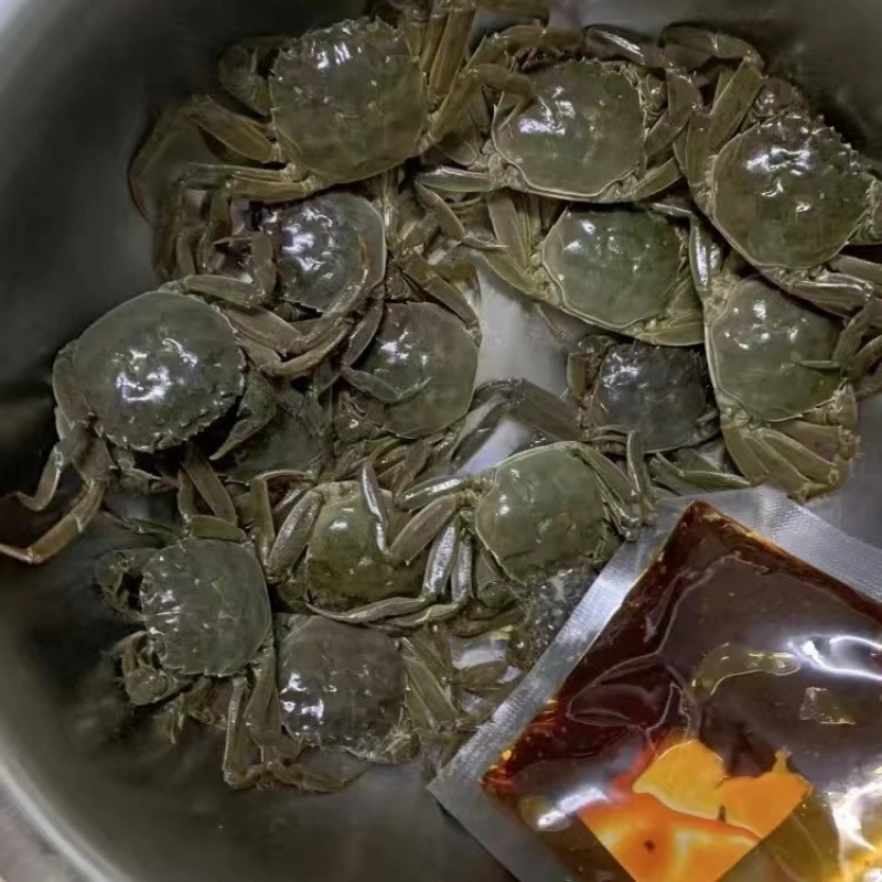 河蟹盘锦鲜活六月黄特大稻田蟹母公北方大闸蟹水产礼盒批发20只