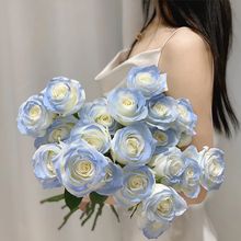 假玫瑰花花束摆件插花拍照高颜值礼物碎冰蓝客厅装饰花