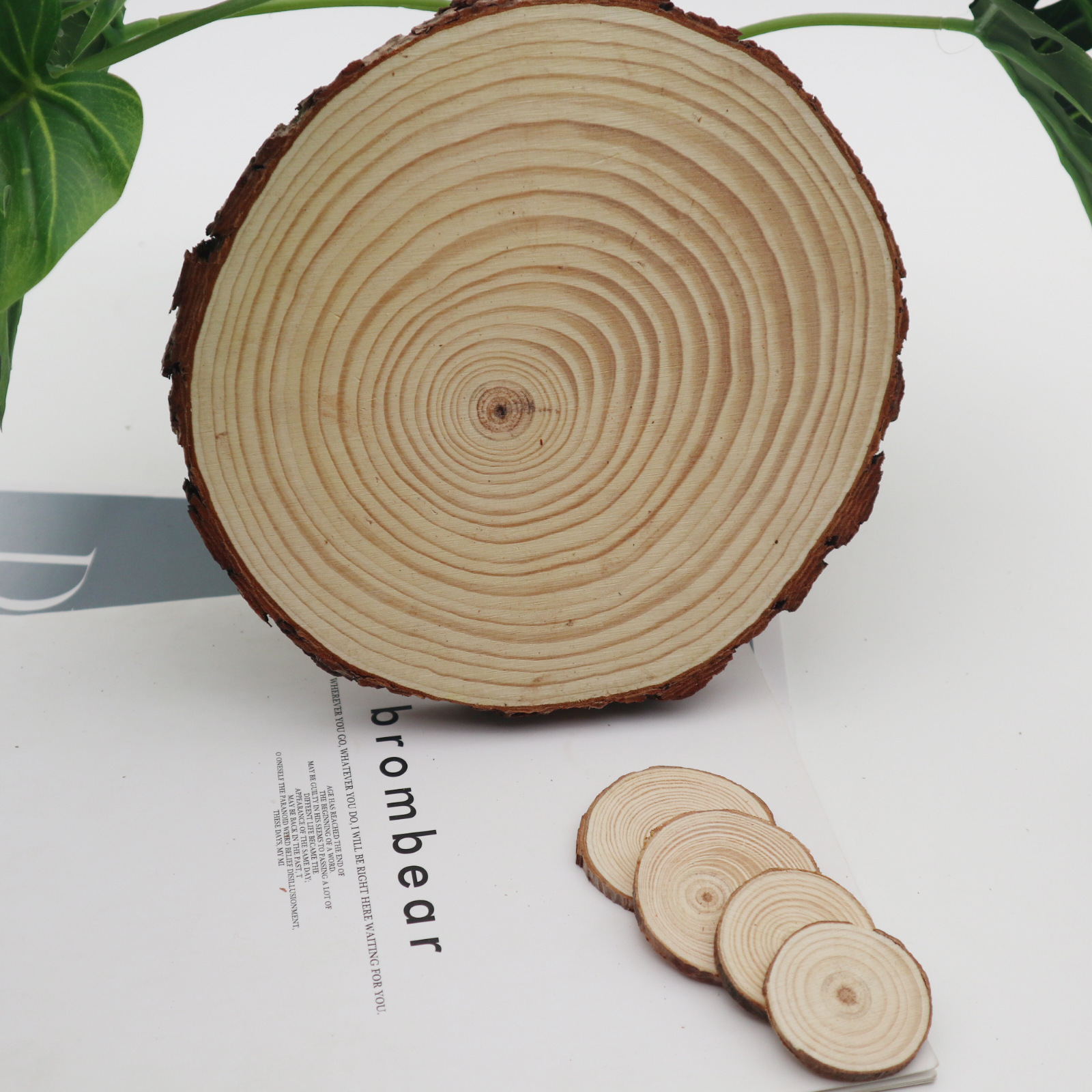 可 松木片圆木片 diy手工打磨年轮松木片 家居装饰 厂家批发