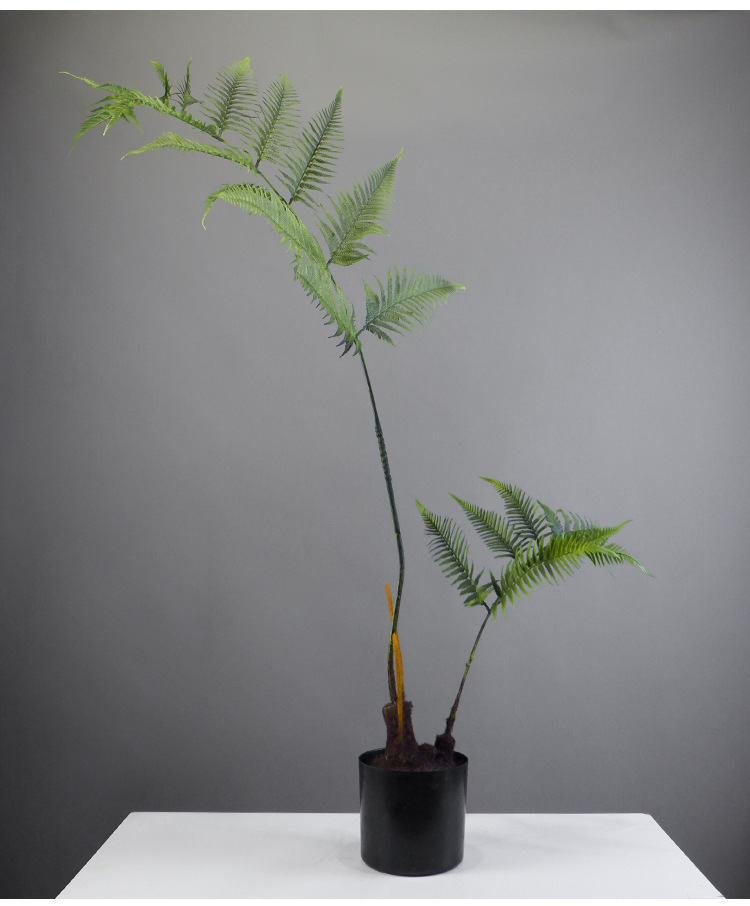 仿真蕨草树盘栽自然森林系金丝禅意猴头蕨绿植装饰庭院景观摆设