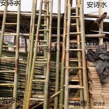 竹梯子平房直梯2米3米4米家用工程电力直梯工程梯幼儿园道具梯子