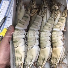 越南黑虎虾老虎虾斑节虾超大黑虎虾巨型草虾海鲜水产烤虾冻虾