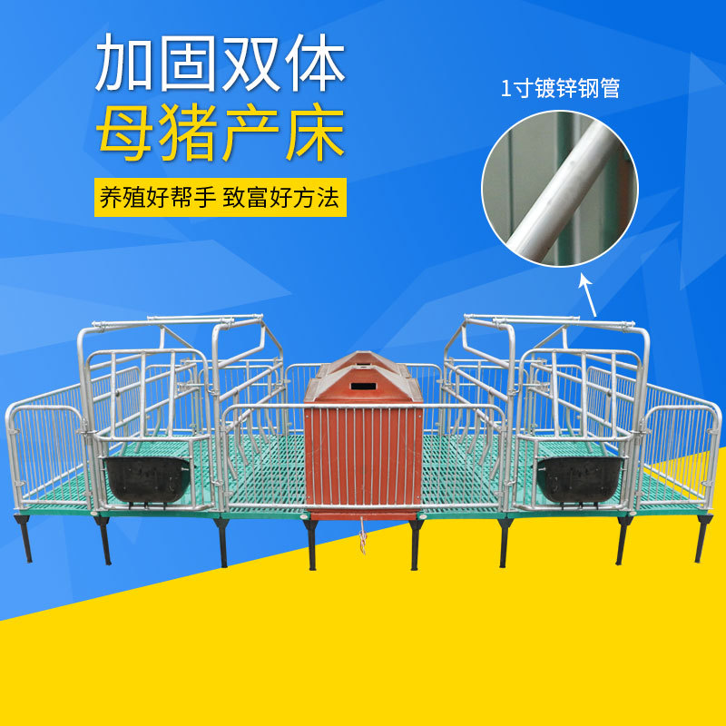 母猪产床养殖设备 全复合底板双体母猪产床出售 母猪双产床宽度