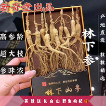 高原野生党参250克-500克包邮默认整根发货12条1斤_阿里巴巴找货神器