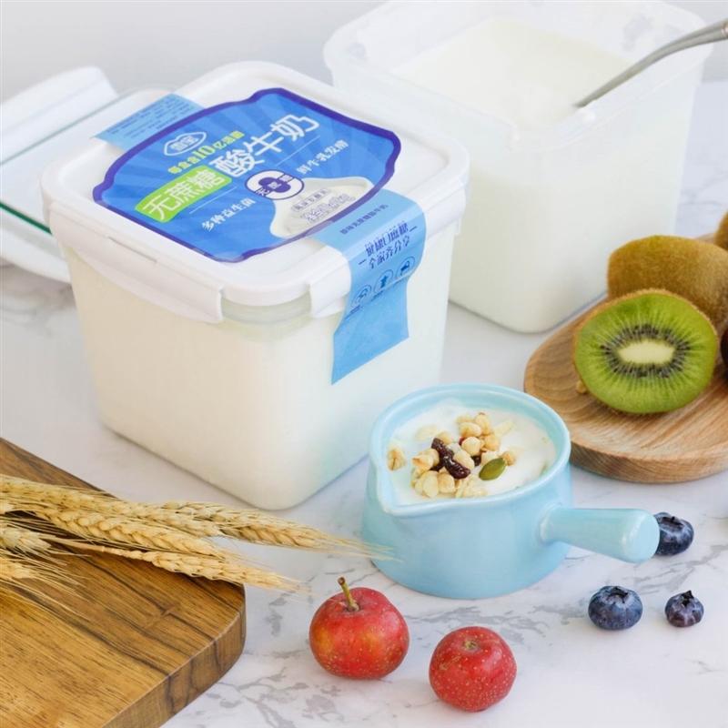 方盒酸奶大桶装整箱老酸奶2斤牛奶益生菌早餐奶无蔗糖1kg 图片_高清