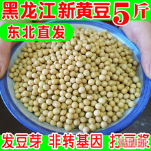 东北小黄豆打豆浆专用豆农家自种5斤散装非转基因新鲜大豆发豆芽