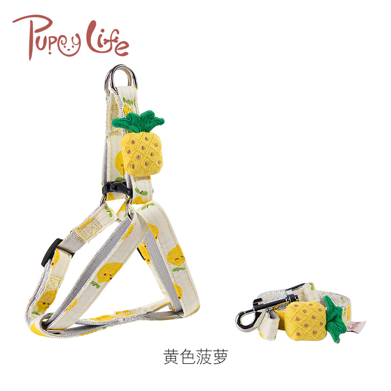 Small and Medium-Sized Outing Dog Traction Safety Rope Fruit Series Dog Dog Leash Dog Rope Cat Pulling Rope