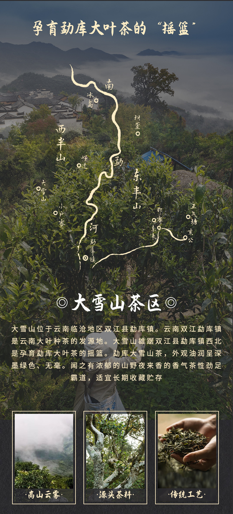 云南普洱茶生茶大雪山龙珠8g小沱茶龙珠老树生茶大叶种茶现货批发