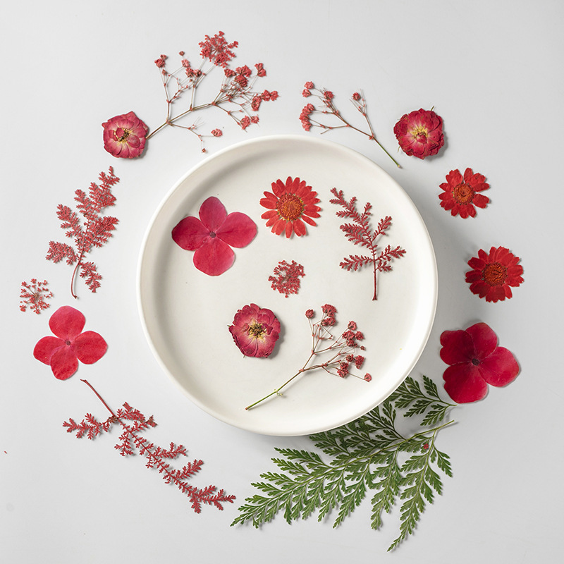 新品干花diy押花书签 压花画满天星玫瑰真花干树叶植物标本滴胶束