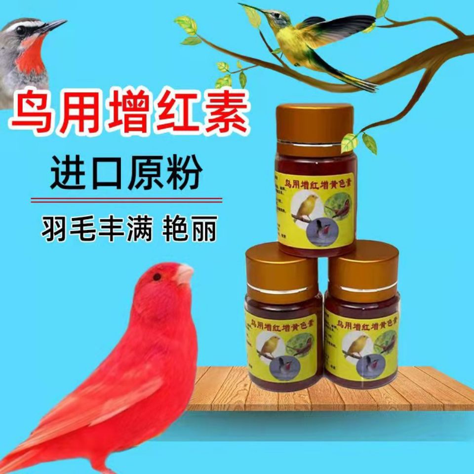 芙蓉鸟玉鸟金丝雀辣椒红红点颏鸟麻料鸟色素鸟用增红色素