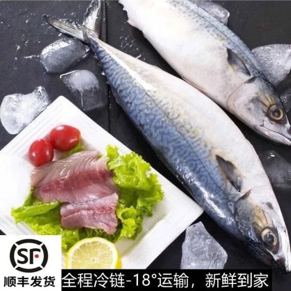 鲐鱼整条批发鲅鱼马鲛鱼青占鱼野生青花鱼零售新鲜冷冻鲐鲅鱼海捕