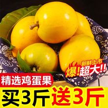 鸡蛋果蛋黄果5斤海南特产热带水果批发新鲜应季当季一整箱熟果1斤
