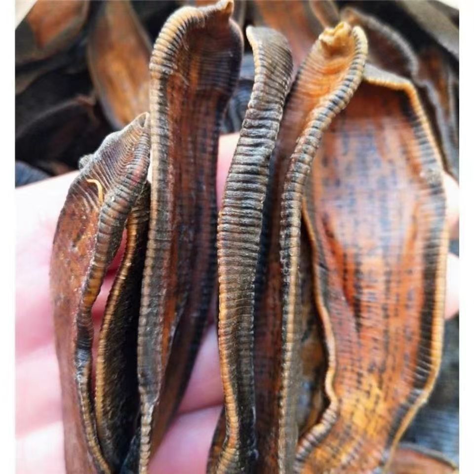 干水蛭生金线水蛭金线柳叶水蛭蚂蟥另有清水水蛭纯干货-阿里巴巴