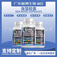 新品Sea weed capsules海藻胶囊海苔姜黄牛蒡贴 牌批发跨境亚马逊