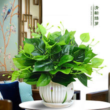 绿萝绿植假花花草植物家居客厅装饰盆栽摆设办公室桌摆件
