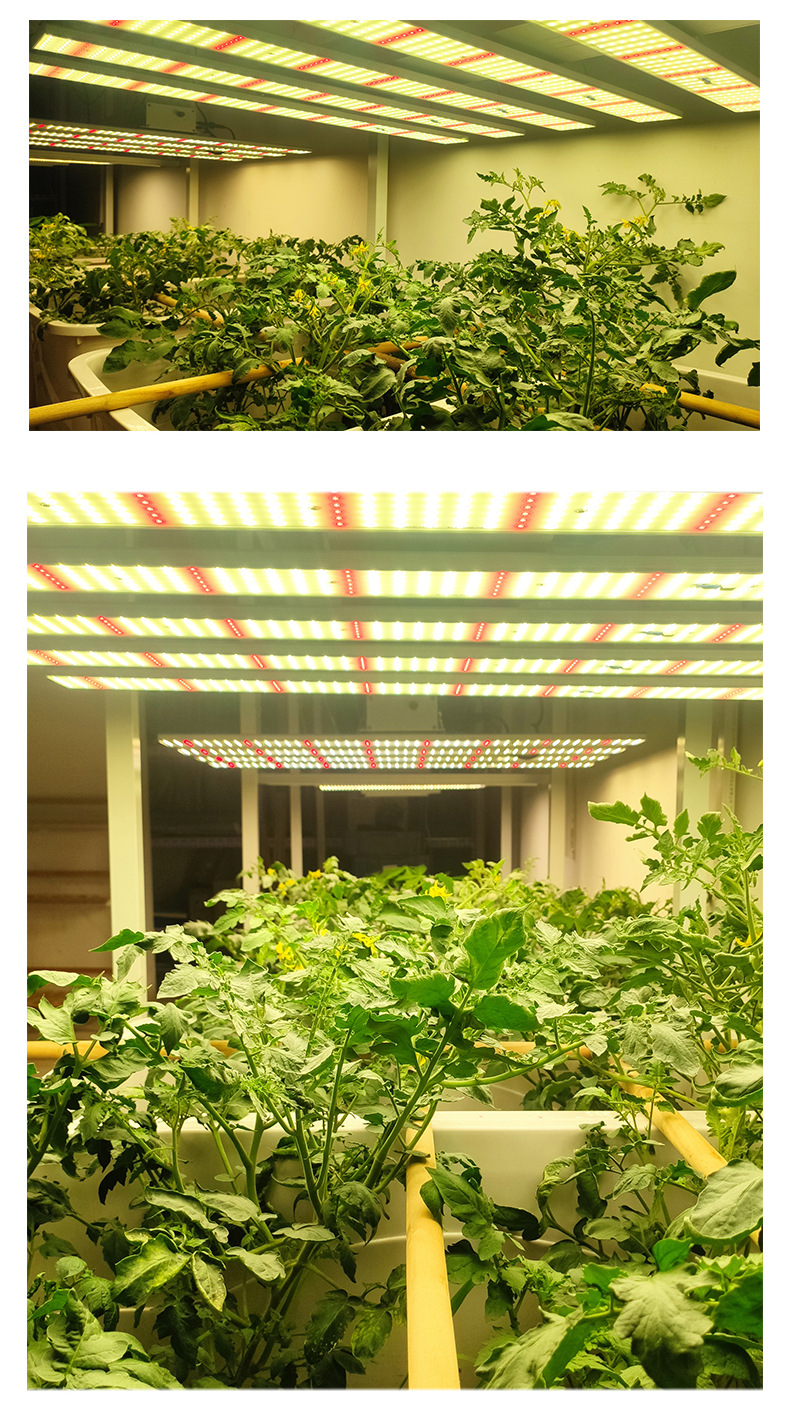 跨境八爪鱼全光谱led植物生长灯温室种植补光灯led植物灯支持定制