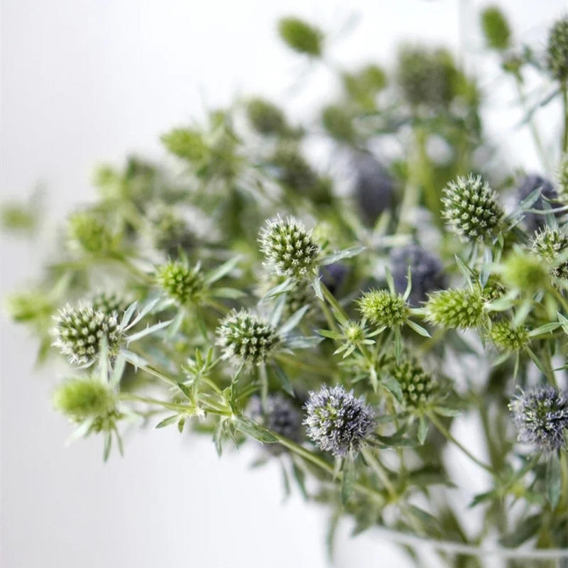 情人果鲜花批发云南鲜花基地直批婚庆花店摆摊用花社区团购货源