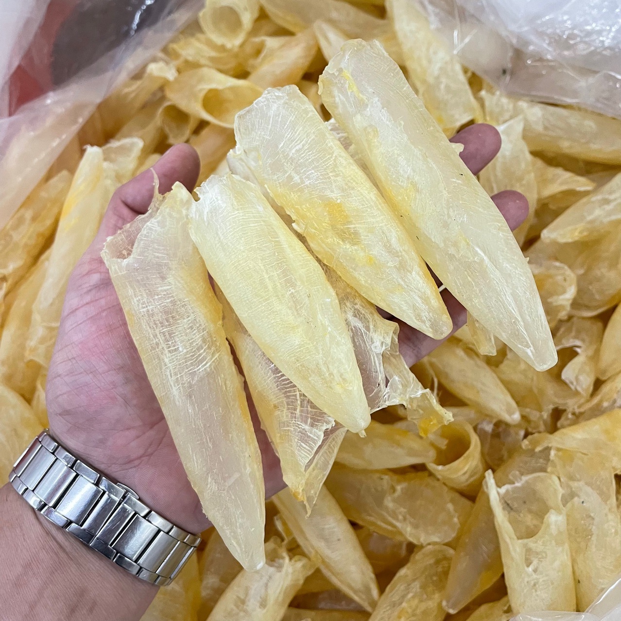 批发渠道墨西哥花胶鱼胶鱼鳔花胶筒咸水筒足干 海味干货65头110头