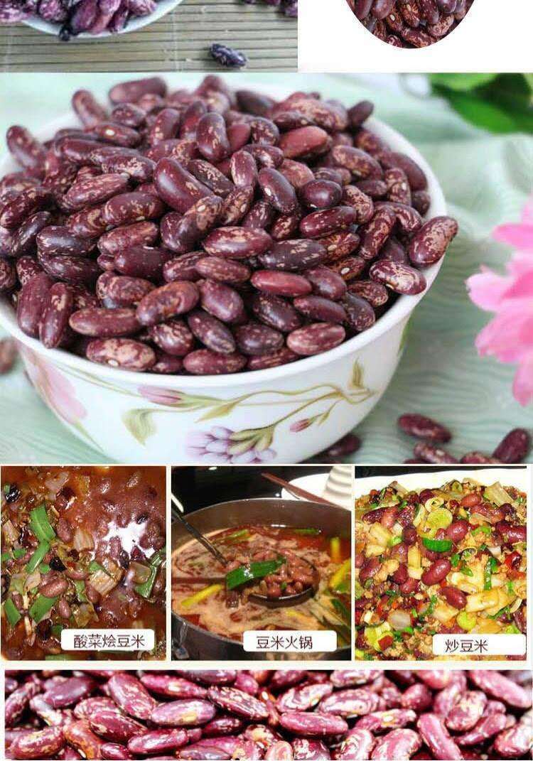 批发贵州农家露天四季豆红花豆花芸豆花豆金丝豆包邮代发厂