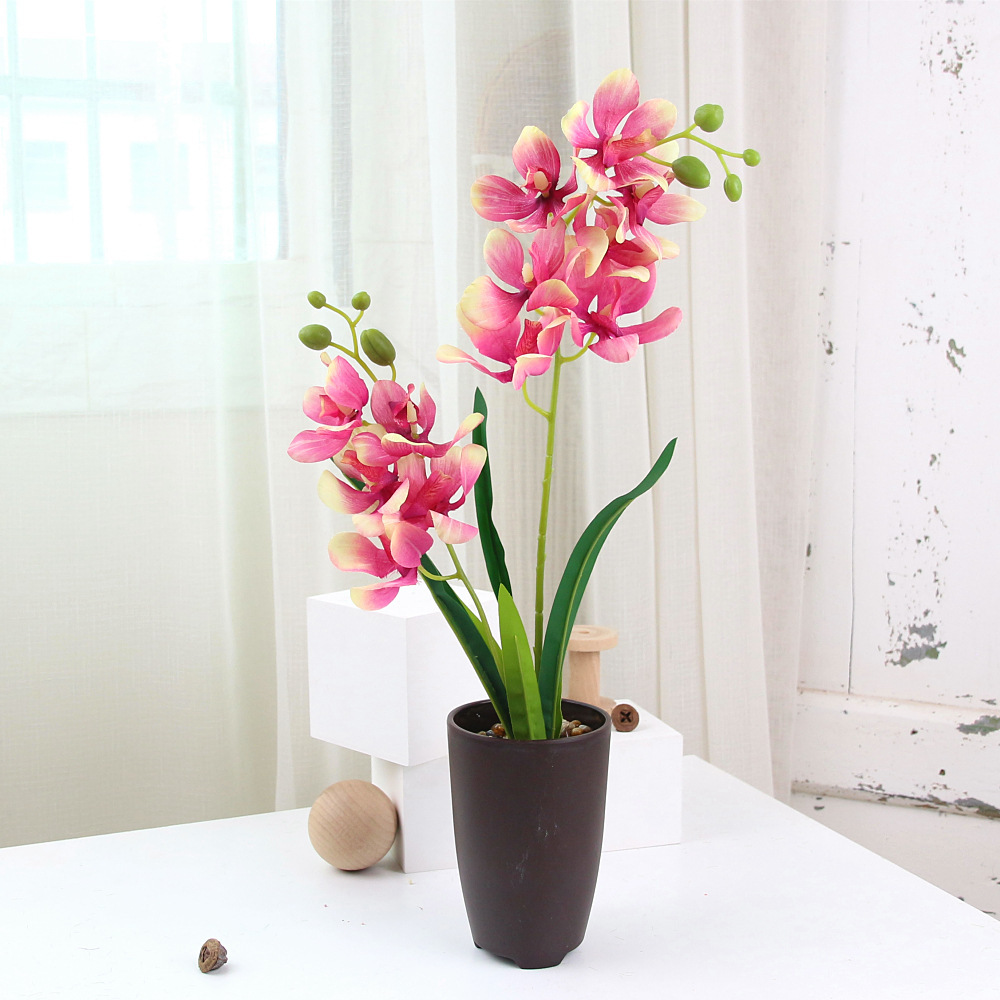 新款 仿真花蝴蝶兰盆景套装 大号蝴蝶花装饰工艺品塑料盆栽摆件