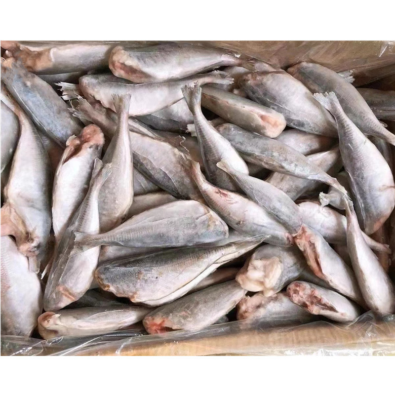 新鲜冷冻三去巴浪鱼沙丁鱼黄占鱼去头去内脏食堂快餐海鲜食材水产