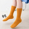children Medium hose Piles of socks spring and autumn ventilation Boy girl long and tube-shaped Klein Korean Edition baby spring and autumn