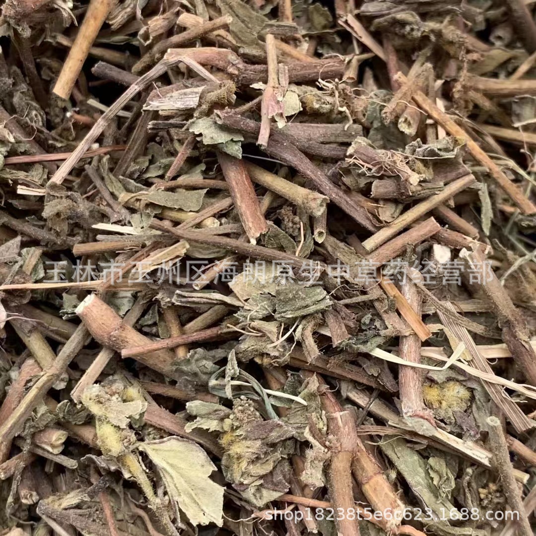 【包邮】大飞扬草飞羊草乳汁草白乳草 每件500克 二十四小时发货