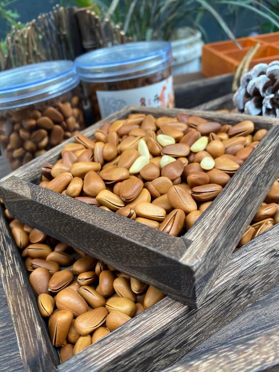 2021年新货松子王大颗粒东北红松子开口松子王罐装250克大量批发