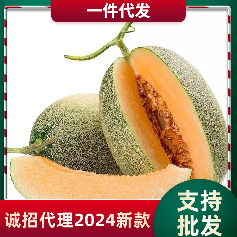 新疆吐鲁番火焰蜜瓜西州蜜4-5斤香甜爽口现摘现发新鲜直达哈密瓜