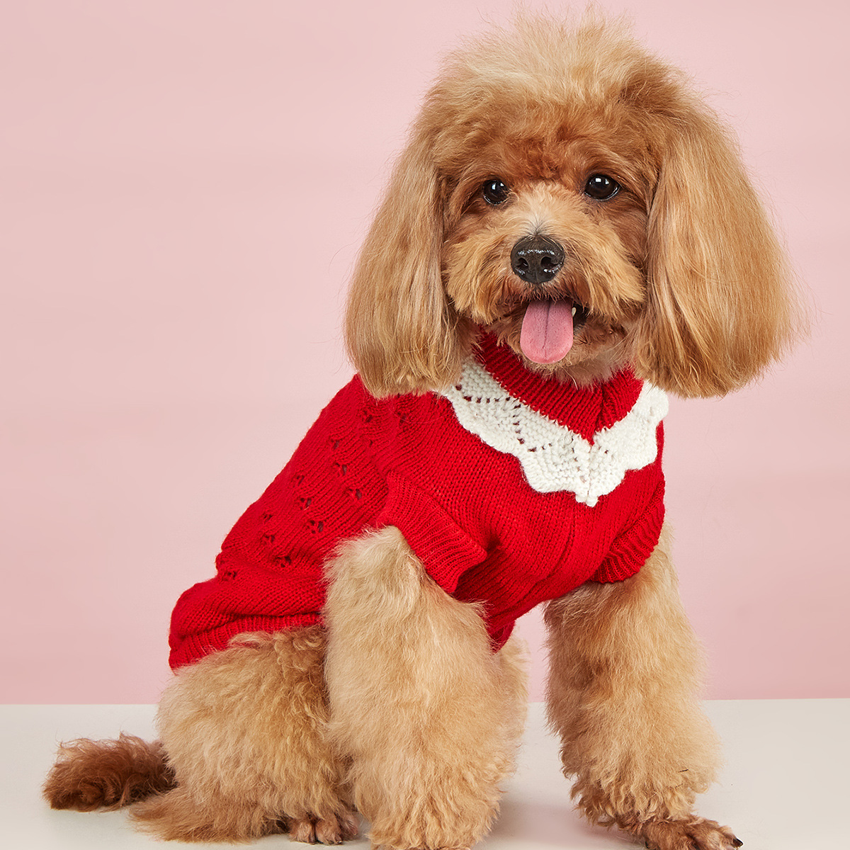 2024秋冬新款狗狗衣服小型犬泰迪博美比熊宠物猫咪毛衣跨境批发