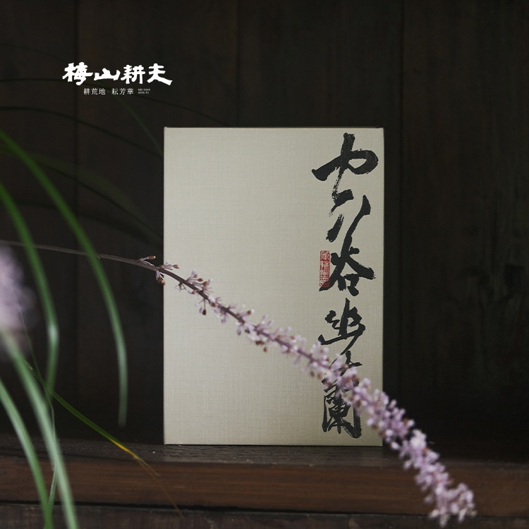 安化黑茶「空谷幽兰」梅山耕夫 兰香馥郁茶气足 黑砖 空谷幽兰