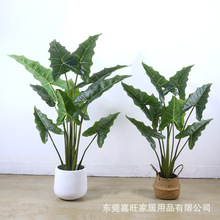 新款仿生绿植萨利安海芋盆栽假树室内客厅仿真植物造景观装饰摆件