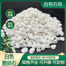 厂家供应白石子水磨石子铺路白碎石造景白色鹅卵石机制洗米石