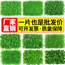 仿真草坪植物墙塑料假花草垫带隔断装饰摆件造景地毯家用绿化饰品