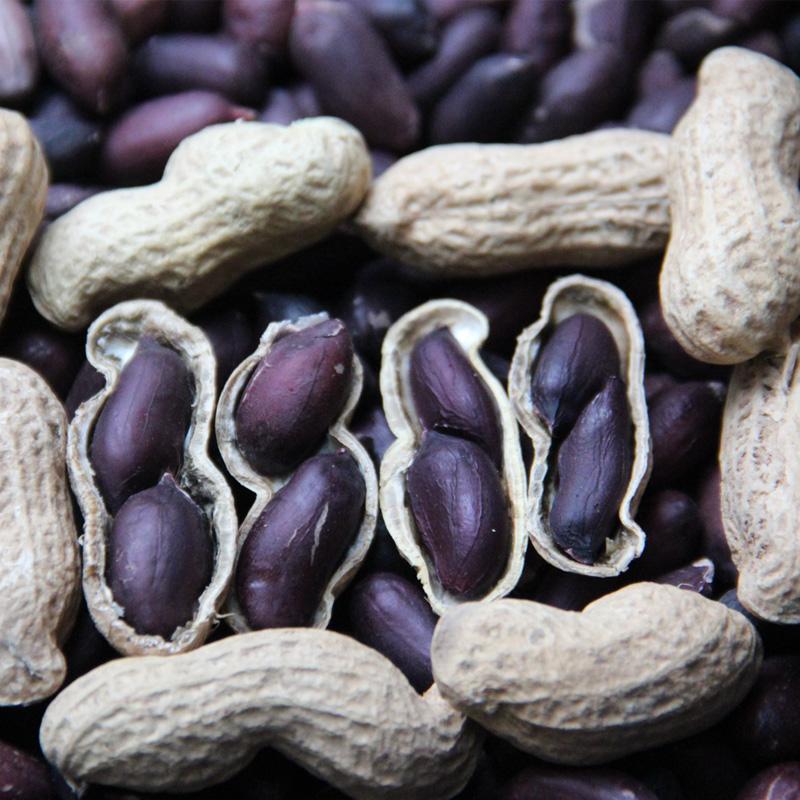 新货富硒带壳黑花生5斤黑花生米云南特产生黑皮花生米果1斤包邮