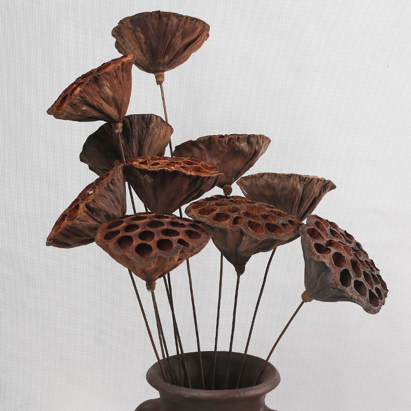 莲蓬干花干荷花禅意插花小莲蓬头天然风干花松果花瓶家居摆件