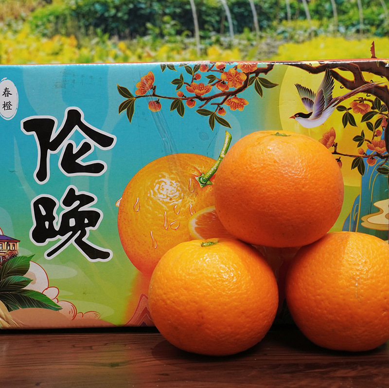 果园现摘湖北秭归伦晚脐橙新鲜多汁薄皮应季水果-阿里巴巴
