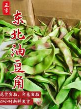 东北油豆角一点红新鲜现摘5斤包邮 应季蔬菜扁豆九月青开锅烂