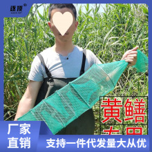 黄鳝笼新款鳝鱼泥鳅捕鳝小龙虾笼捕虾网加密加粗长鱼代发速卖通