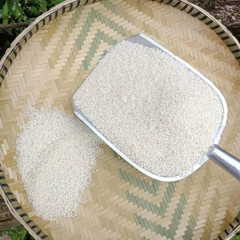 桂朝米贵朝米贵州米豆腐四川凉糕凉虾米粉米皮肠粉米线专用大米