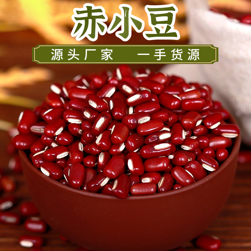 杂粮磨粉煮粥原料赤小豆 袋装赤小豆批发 粗粮非红小豆长粒红小豆