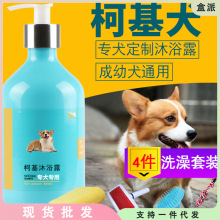 柯基沐浴露狗狗除臭留香宠物成犬幼犬浴液小狗洗澡用品