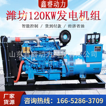 柴油发电机组50KW75 100 120 150 200 300 400千瓦养殖用低噪音