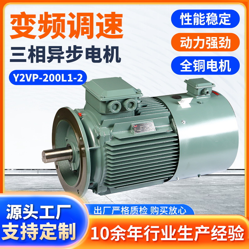 江苏大中电机Y2VP-200L1-2变频调速低压三相异步电动机