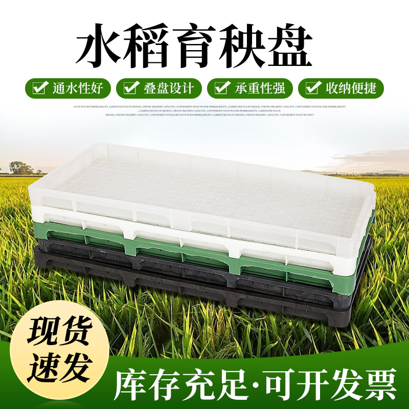 厂家直销塑料硬盘水稻育秧托盘 机插育苗盆平底抛秧盘 现货育秧盘