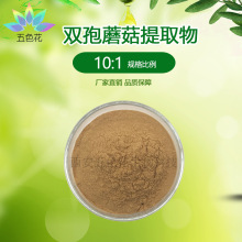 双孢蘑菇提取物10:1 水溶性 白蘑菇提取物 双孢蘑菇多糖 厂家直供