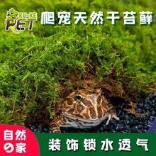 爬宠苔藓水苔垫材干保湿透气生态造景乌龟角蛙冬眠用品爬虫运输